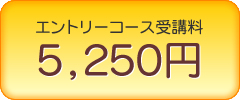 �G���g���[�R�[�X��u��5,250�~